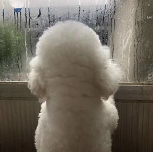 Meet your Posher, Sherry